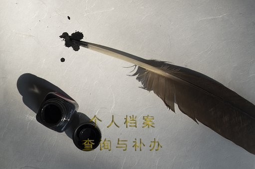 毕业生档案查询与转移