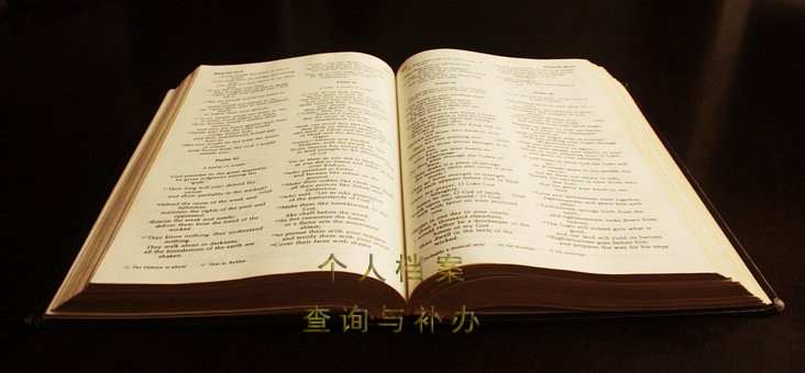 漯河市人才中心，个人档案查询入口