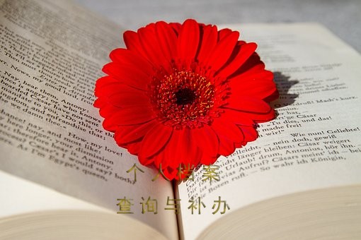 12333合肥大学生毕业档案查询