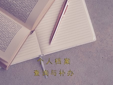 12333个人档案查询尊龙凯时网址官网