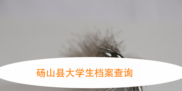 砀山县大学生档案查询，如何轻松掌握档案去向？