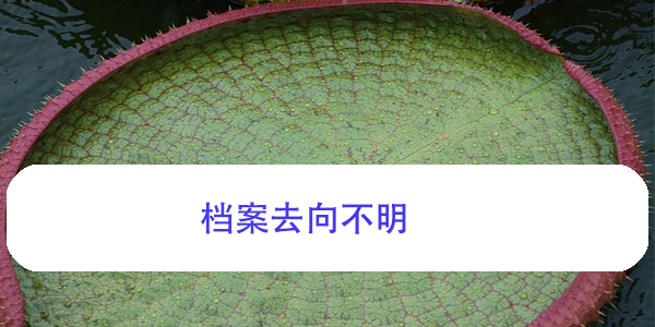 档案去向不明，如何查找个人档案所地？