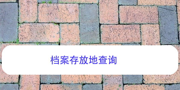 档案存放地查询，个人档案管理与补办指南