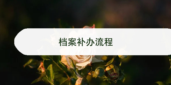 档案补办流程，档案丢失怎么办？