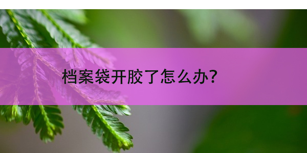 档案袋开胶了怎么办，如何修复和预防？