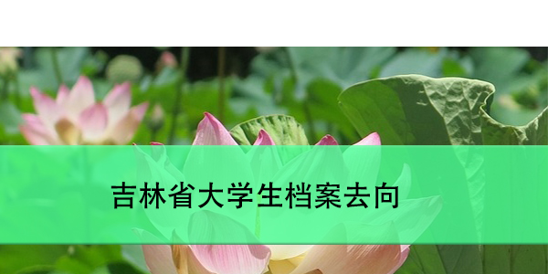 吉林省大学生档案去向，如何查询与管理？