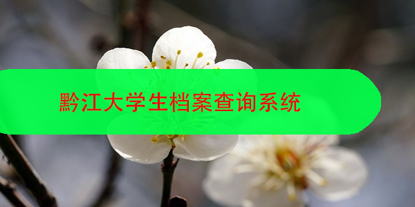 凯里市的大学生档案查询，如何进行？