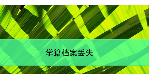 乐都大学生档案查询指南，如何轻松掌握档案动态？