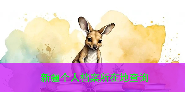 新疆个人档案所在地查询，如何快速找到你的档案？