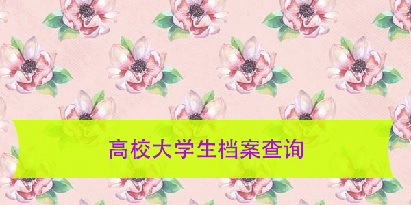 高校大学生档案查询，进来学习新的查询方法吧