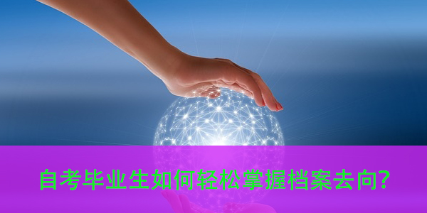 广东省自考档案查询方法，自考毕业生如何轻松掌握档案去向？