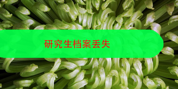 研究生档案丢失，如何补办？