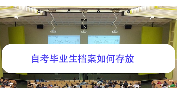 自考毕业生档案如何存放，自考档案管理指南