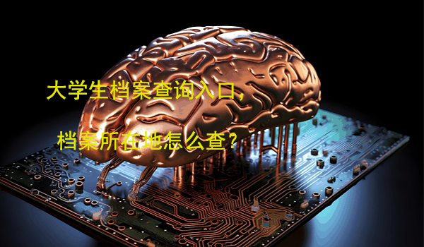 大学生档案查询入口， 档案所在地怎么查？